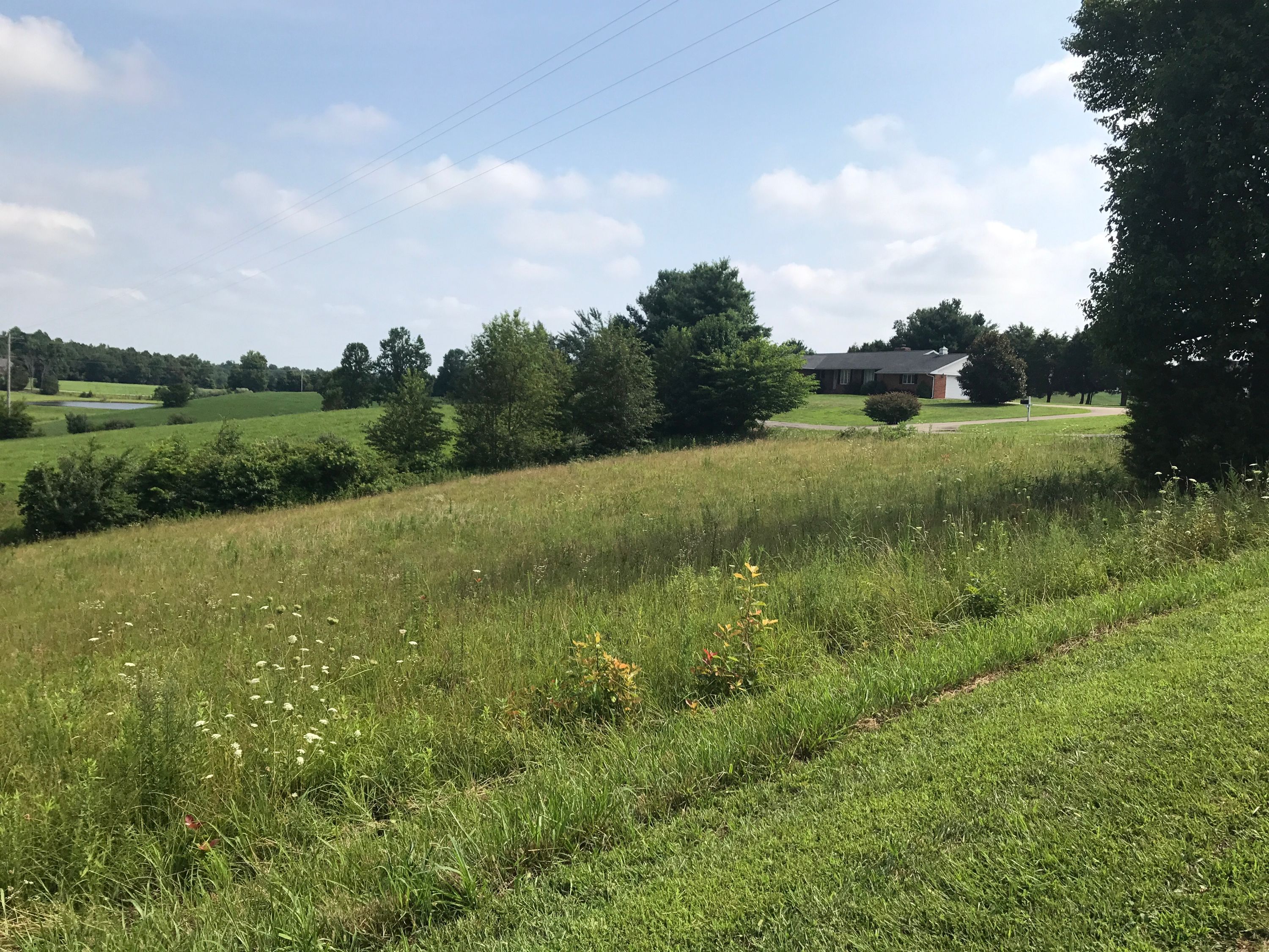 19118 28,000 SOLD — Duvall Realty LLC Kentucky Property for Sale